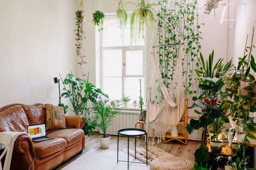 Urban jungle: como aplicar esse estilo de decoração