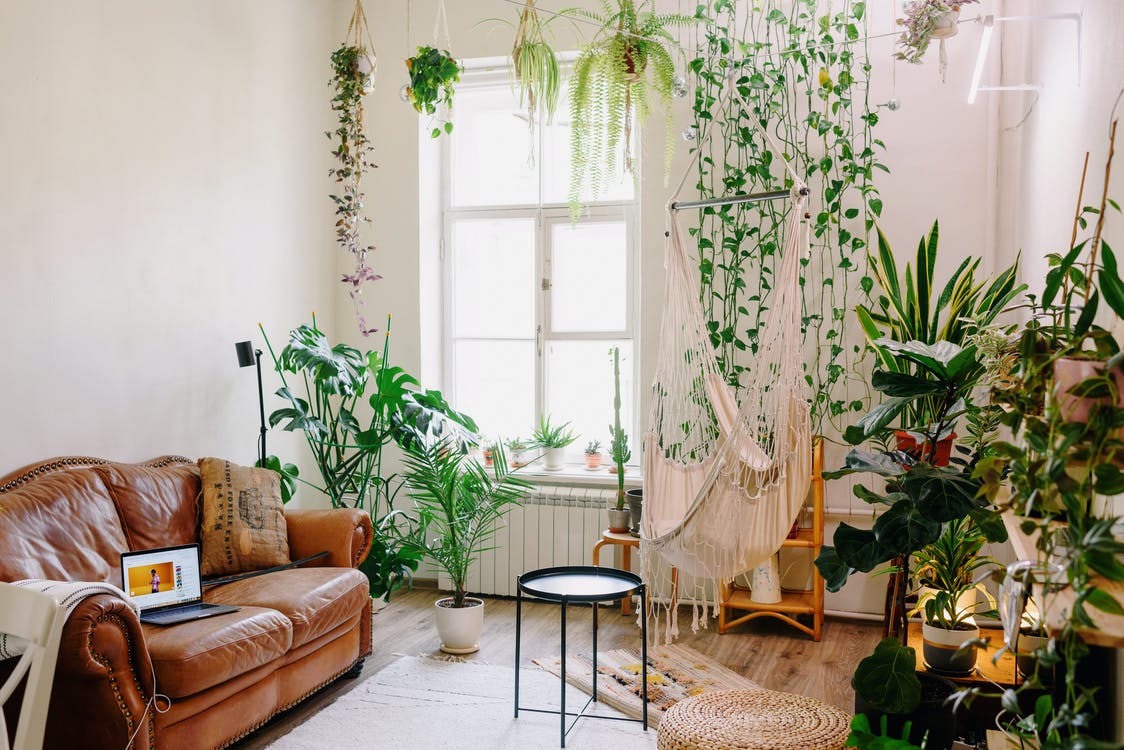 O que é Urban Jungle e como adotar esse estilo na sua casa? - UAUIngleza