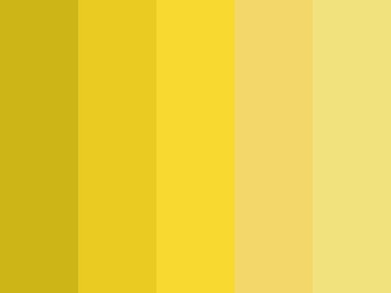 Amarelo Butter